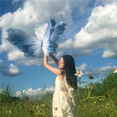 夏普的挑战 海报