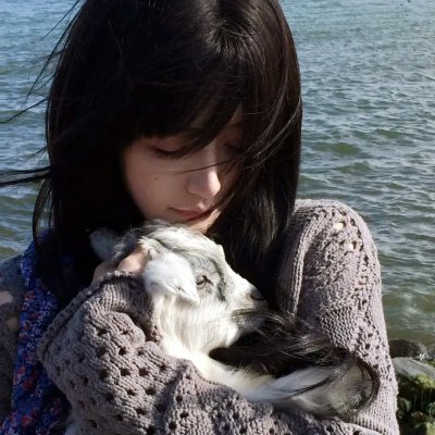 摩斯探长第八季 海报