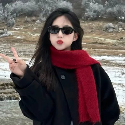 桦木林 海报
